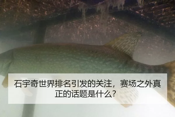 石宇奇世界排名引发的关注，赛场之外真正的话题是什么？